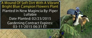 contract-plot