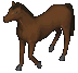 horse