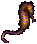 seahorse